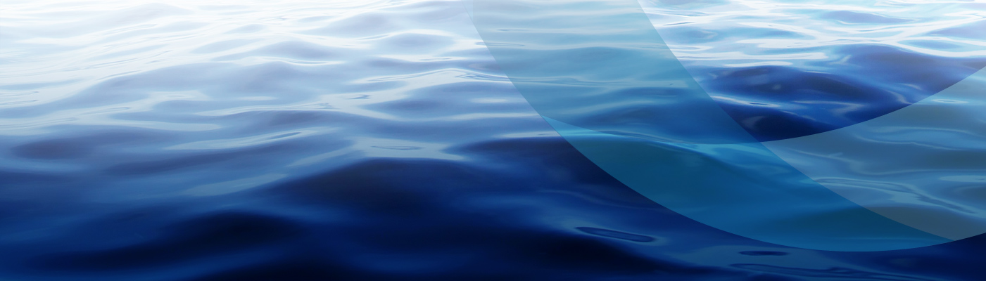 12 societe leader dans la marine